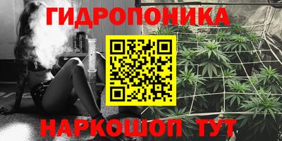 наркотики Новозыбков