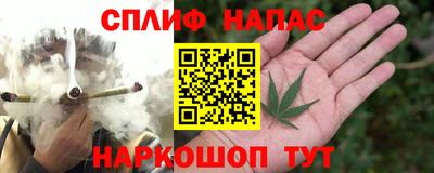 наркотики Новозыбков